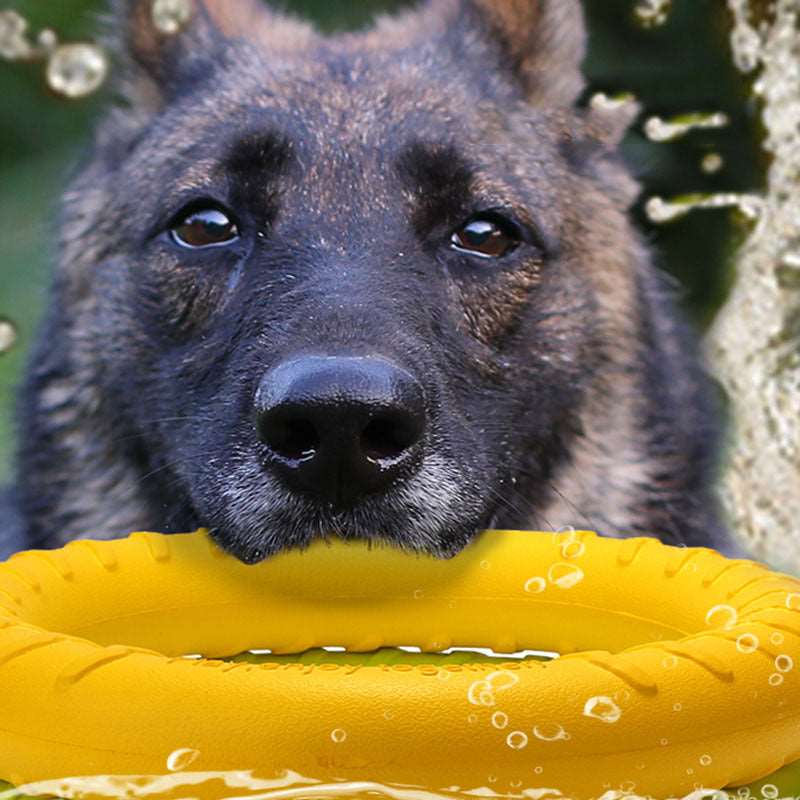 Gioco Puller per Cani - Anello Interattivo per Addestramento e Divertimento