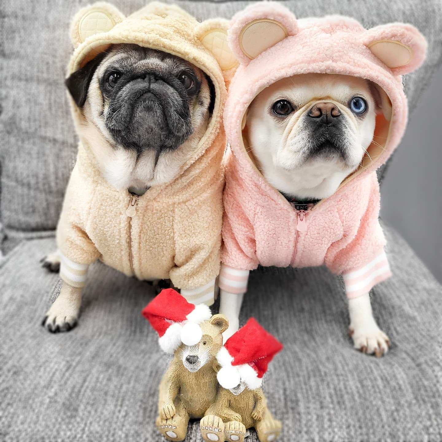 Fleece Dog Sweatshirt with Hood and Ears Soft and Warm