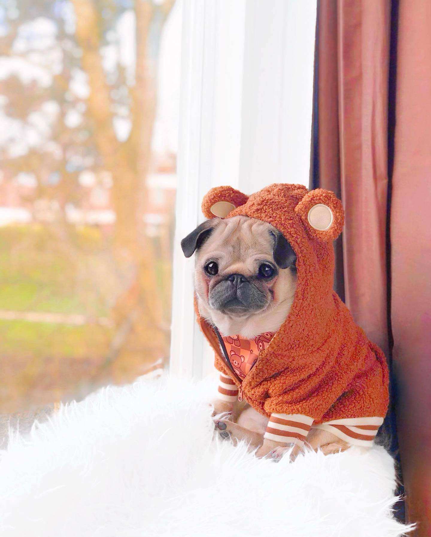 Fleece Dog Sweatshirt with Hood and Ears Soft and Warm