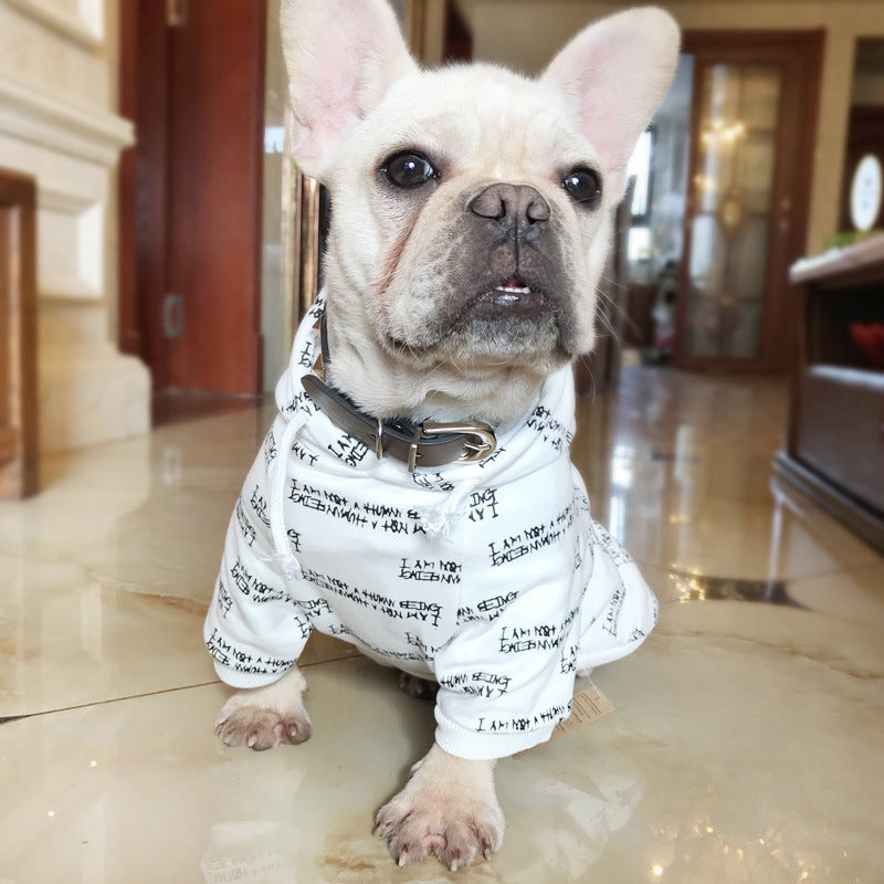 Dog Hoodie Sporty – Comfort and Style for Your Four-Legged Friend