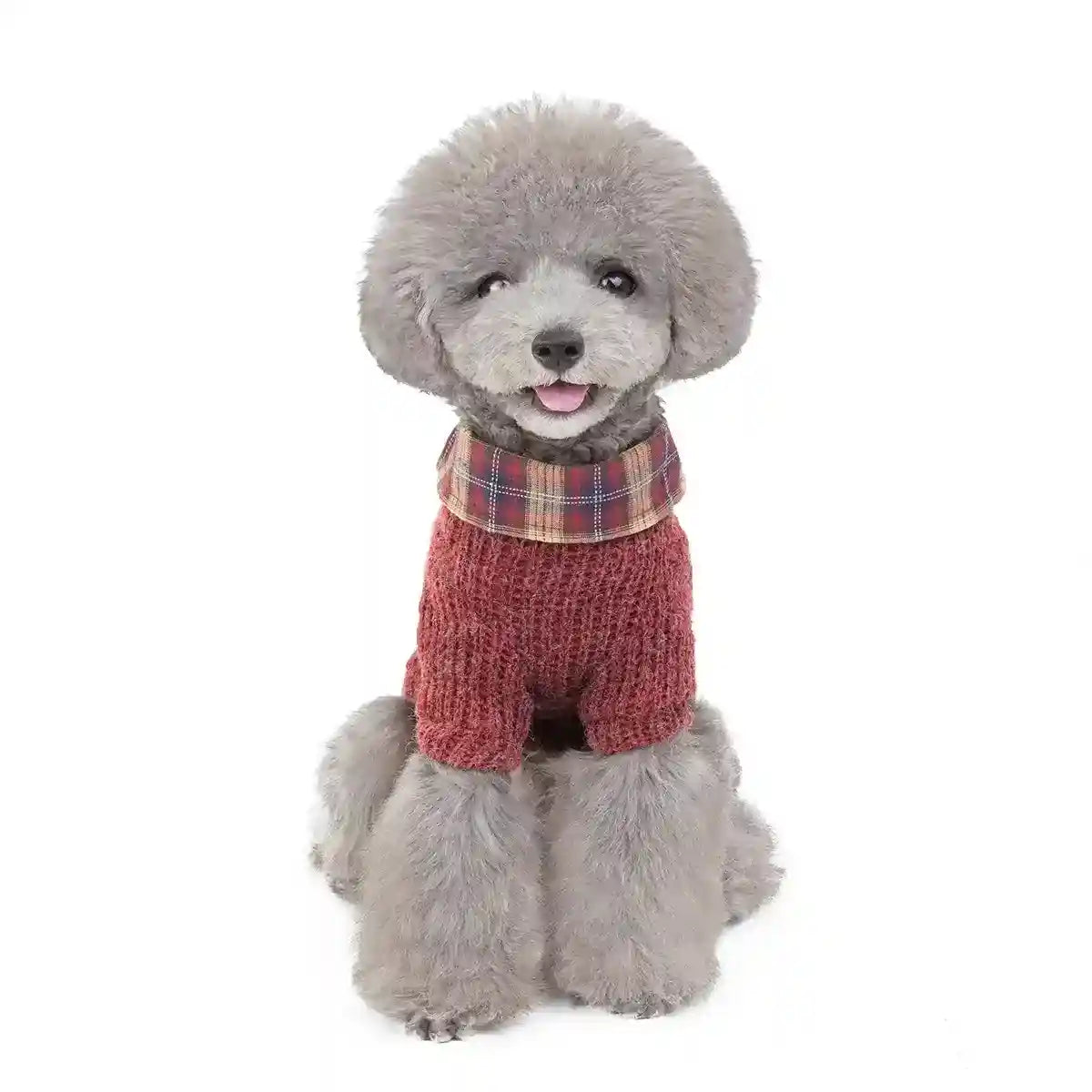 Maglioncino Cani Gatti Colletto Bottoni Elegante by Dog Moda