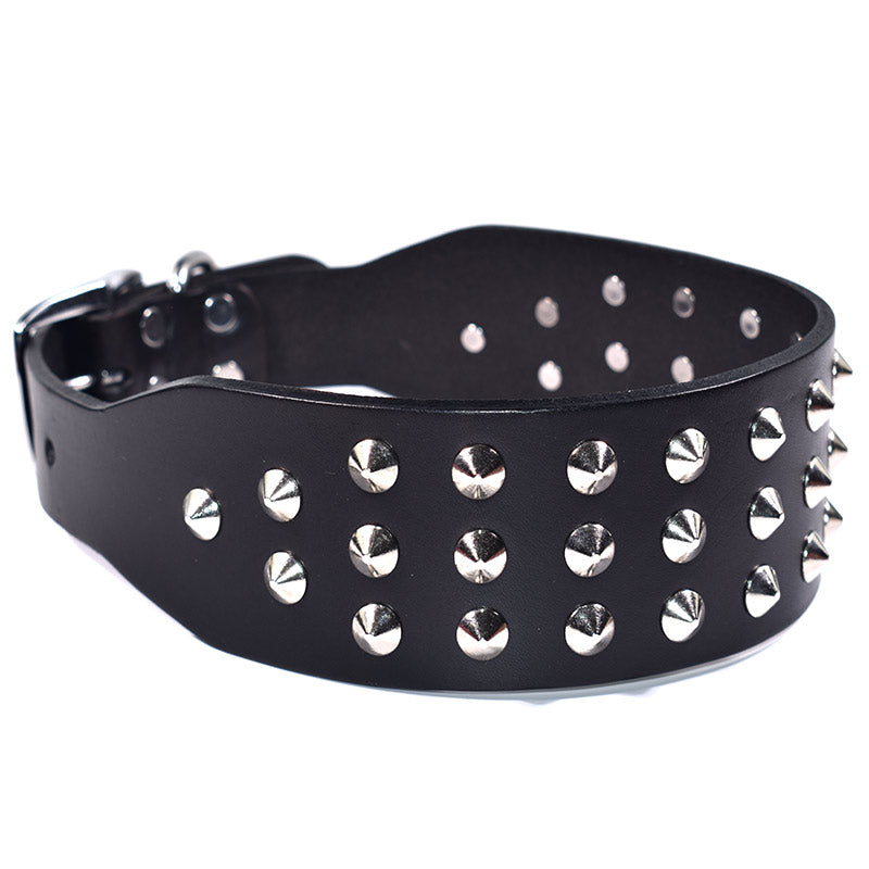 Collare Hercules per Cani con Borchie - Pelle Premium