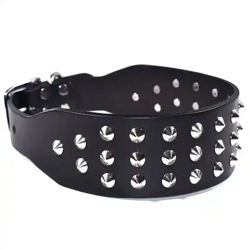 Collare Hercules per Cani con Borchie - Pelle Premium by Dog Moda