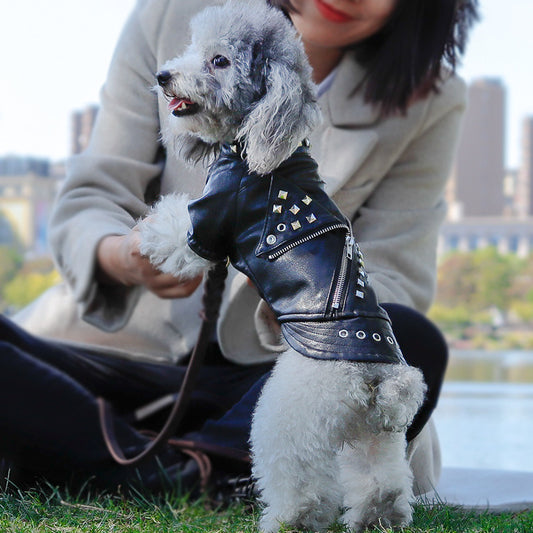 Giubbottino per cani in pelle "Grease"