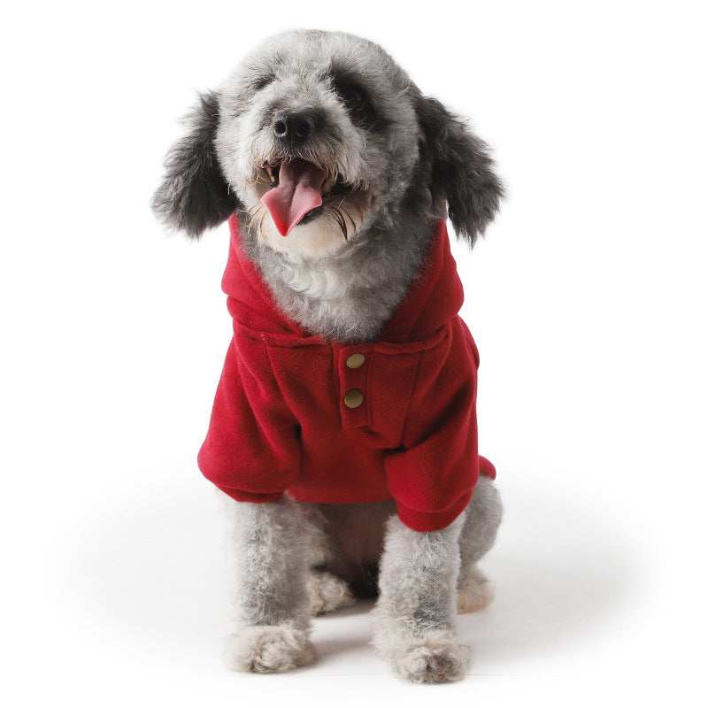 Dog Hoodie - Elegant Style "Tuba" "Little Gentle Dog"