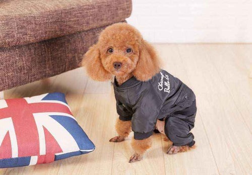 Cappotto Nero Quattro Zampe "Chicago Bulls" - Eleganza e Stile per il Tuo Cane by Dog Moda