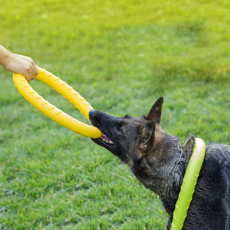 Gioco Puller per Cani - Anello Interattivo per Addestramento e Divertimento