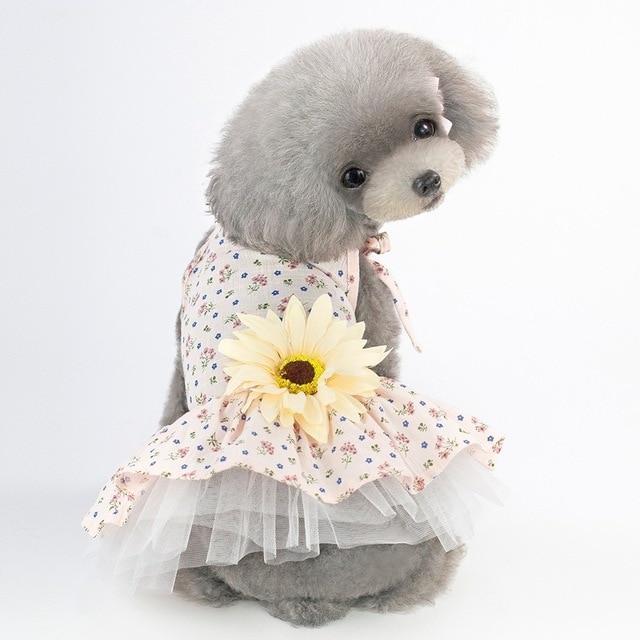 "Cute" Female Puppy Dress 