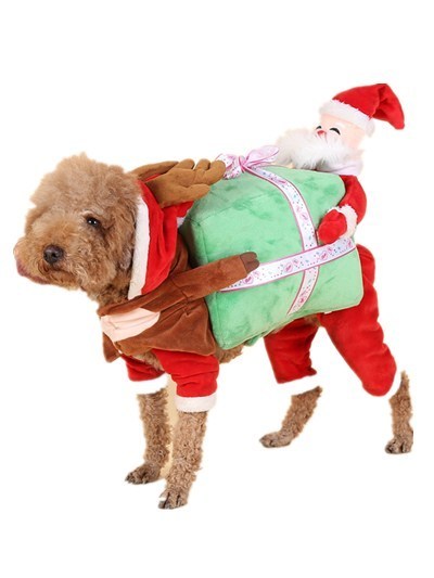 Santa's Helper Dog Costume - Fun and Magic for Your Dog This Holiday Season 