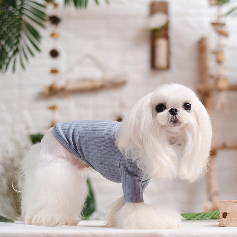 Cotton Sweater for Small Dogs with Embroidery – Elegance and Comfort