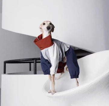 Neptune 4-Legged Dog Raincoat - Windproof Raincoat