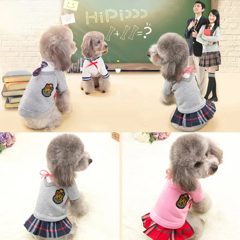 College Dogs Jersey - University Crest Collar Male Female