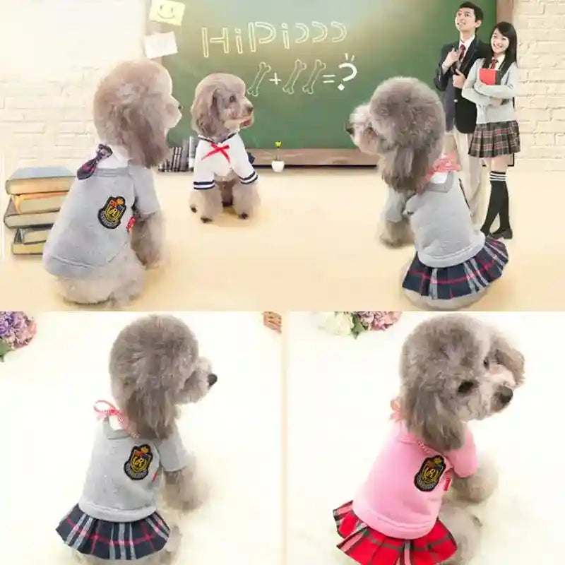 Maglia College Cani - Colletto Stemma Università Maschio Femmina by Dog Moda