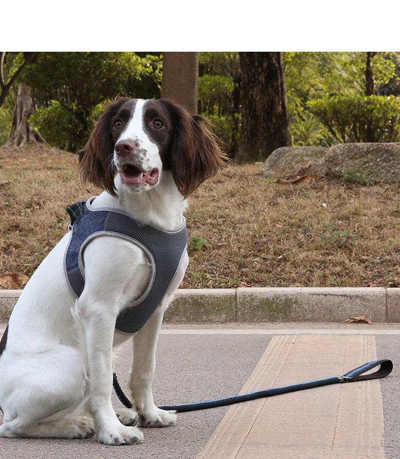 Breathable "Y" Dog Harness "Stone" Model