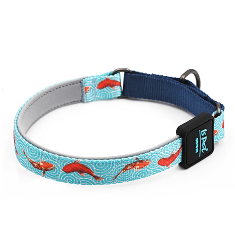 Collare Cane con Catena in Poliestere Resistente by Dog Moda