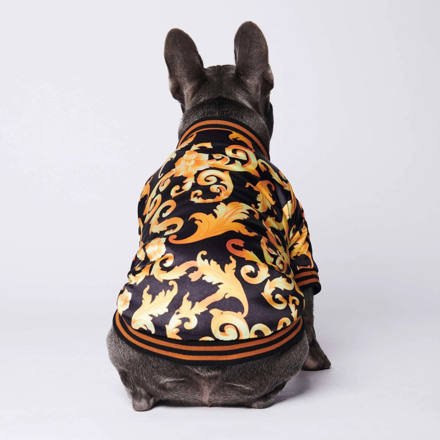 Giacca Antivento per Cani Stile Versace "The King" – Eleganza e Protezione per il Tuo Amico a Quattro Zampe