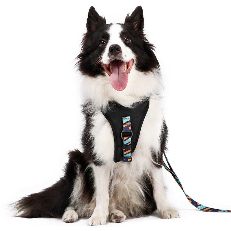 DODOPET "Easy walk" anti-pull dog harness