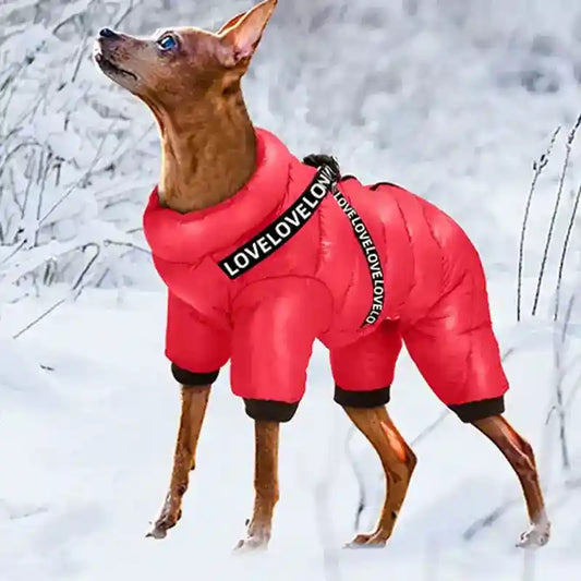 Cappotto Cani 4 Zampe Love - Imbottito Neve Pioggia by Dog Moda