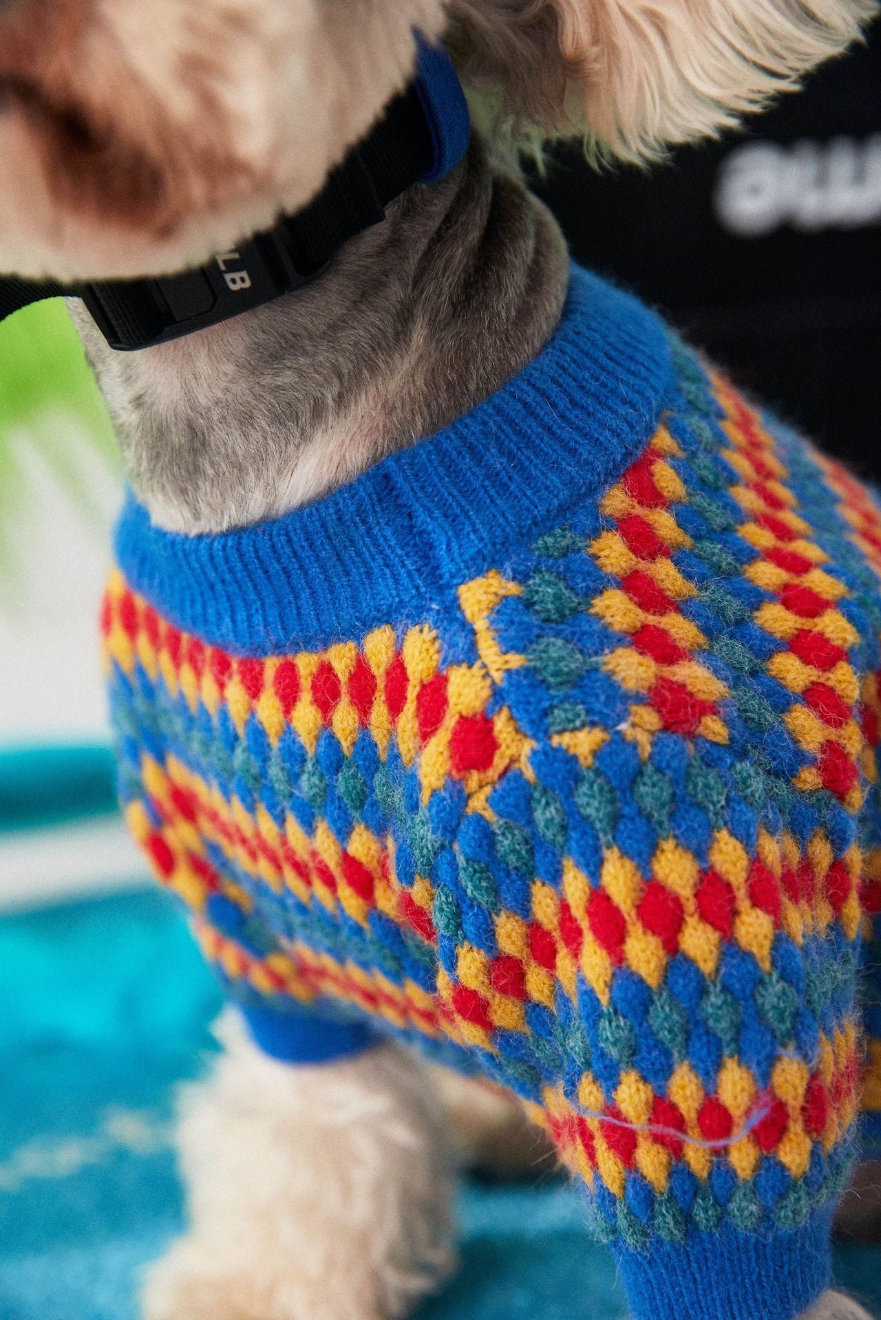 Pamplona Dog Sweater | Bright Colors and Yellow, Red and Blue Diamonds