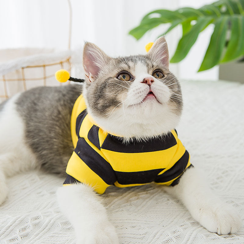 Sudadera para Perro y Gato con Capucha Abeja Rayas Amarillas y Negras