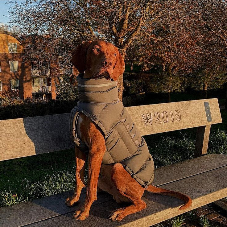 Piumino per cani imbottito antivento "Woom"