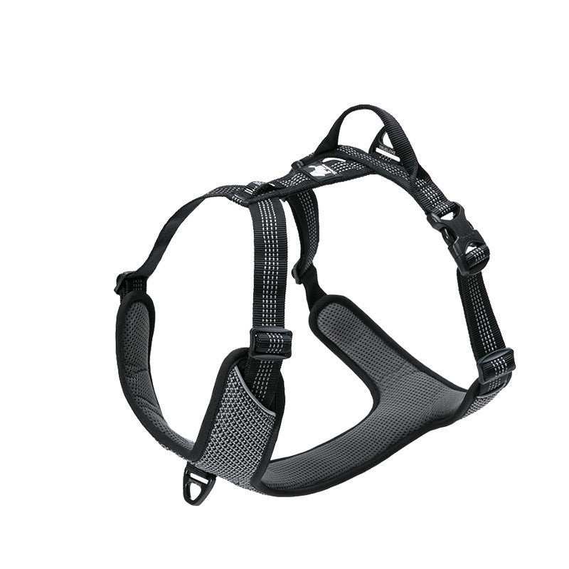 Pettorina Imbottita per Cani "Comfort Safe" - Dog Moda
