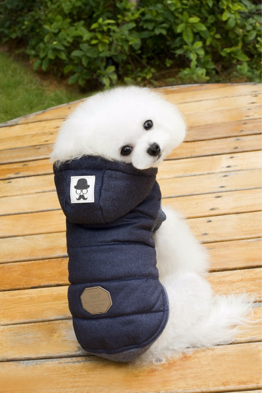 Mustache Dog Coat with Hood - Warm Padded
