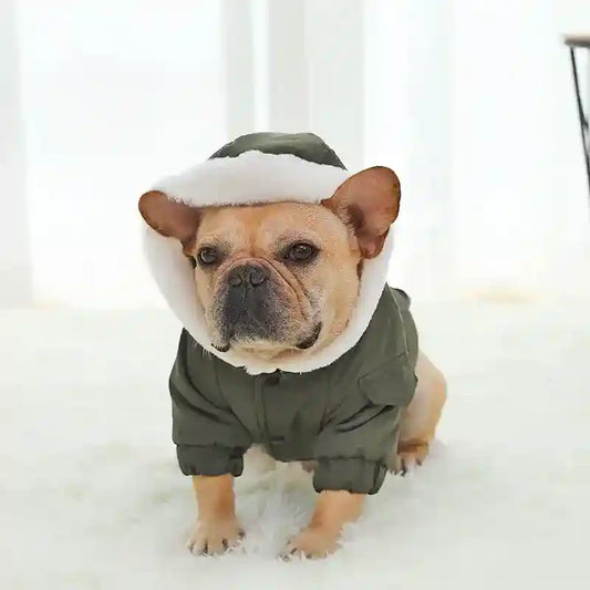 Cappottino per Cani con Cappuccio in Ecopelliccia - Dogmoda by Dog Moda