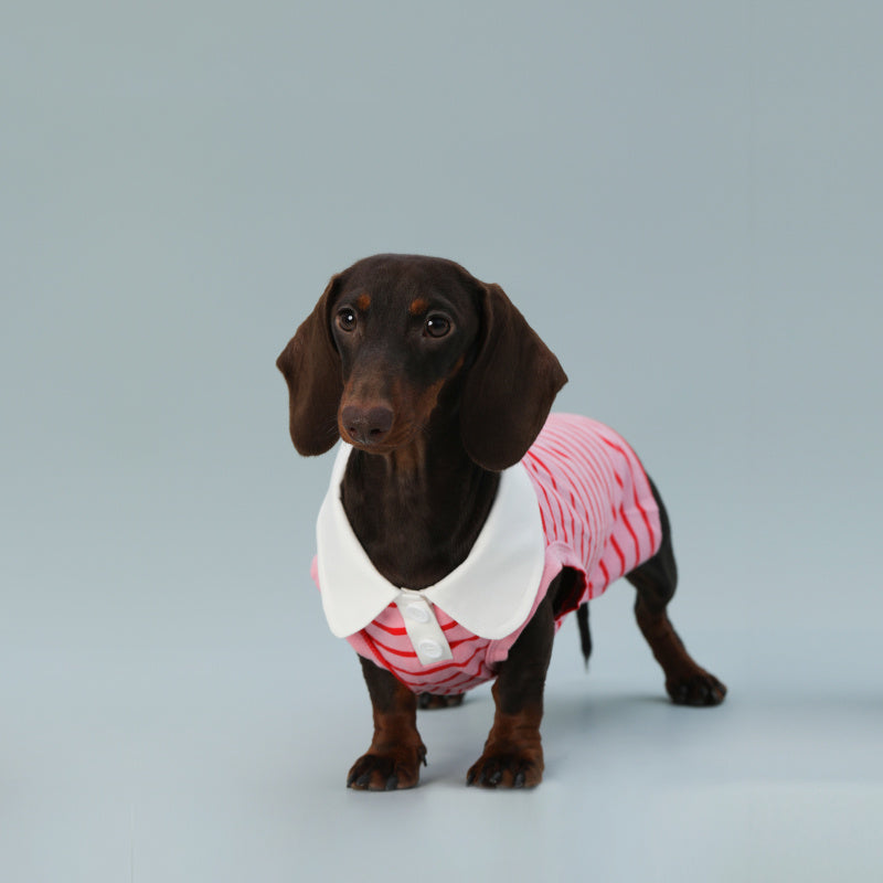 犬用ピンクポロシャツ - 白い襟 | Dogmoda
