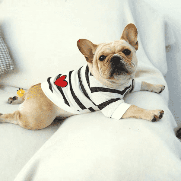 Dog Shirt "Ruby" - Cheepet