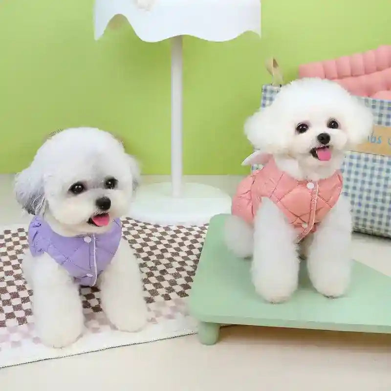 Abrigo para Perro Acolchado Alas de Ángel - Impermeable Invierno