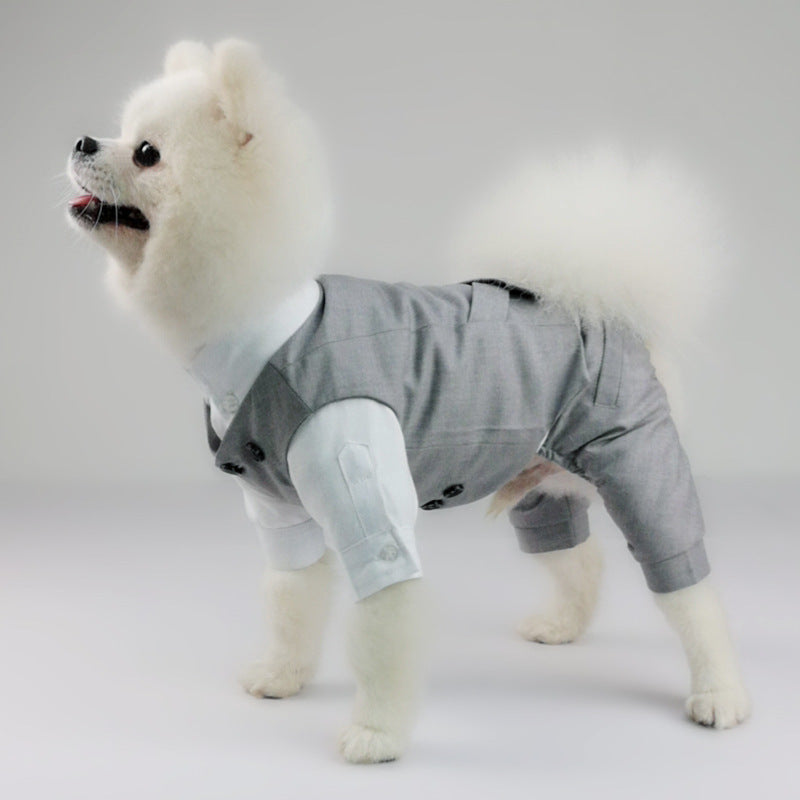 Vestito da cerimonia per cane grigio "Panama"