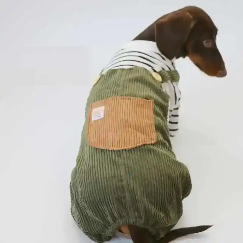 Tuta per Bassotto a righe con bretelle – Moda casual by Dog Moda