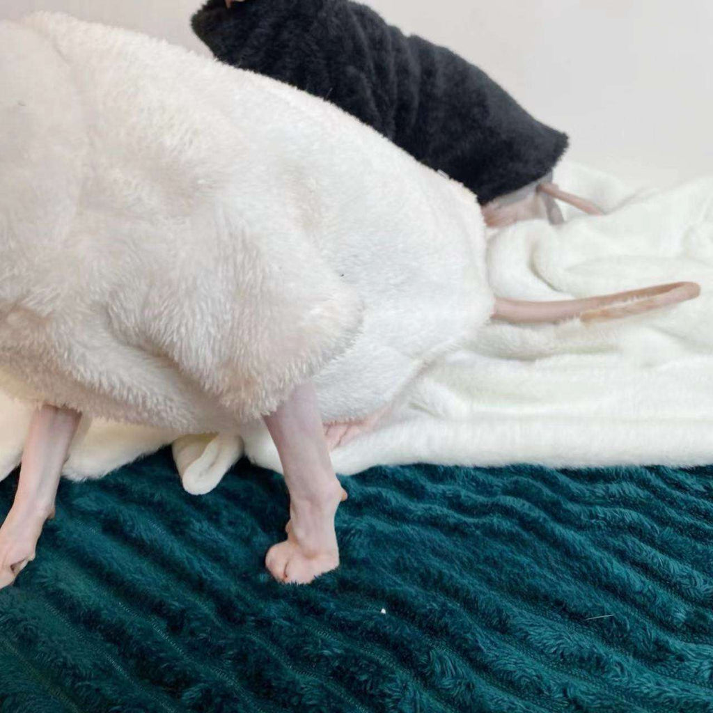 Pile Invernale per Gatti – Giacca Calda in Peluche Bianco o Nero