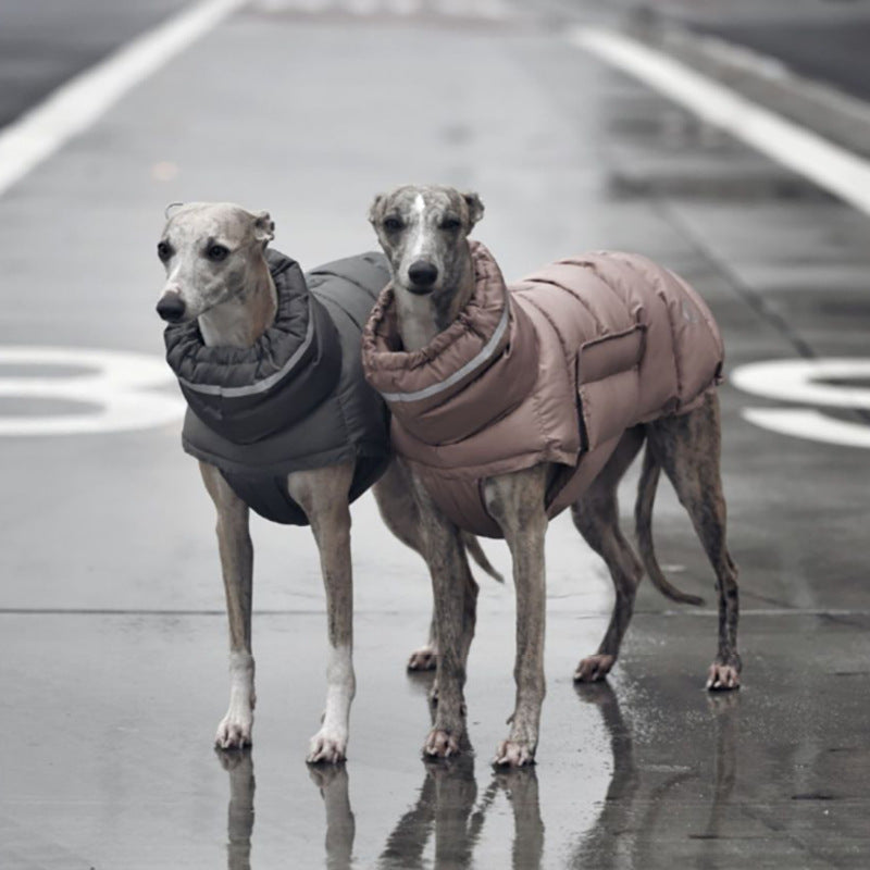 Piumino per cani imbottito antivento "Woom"