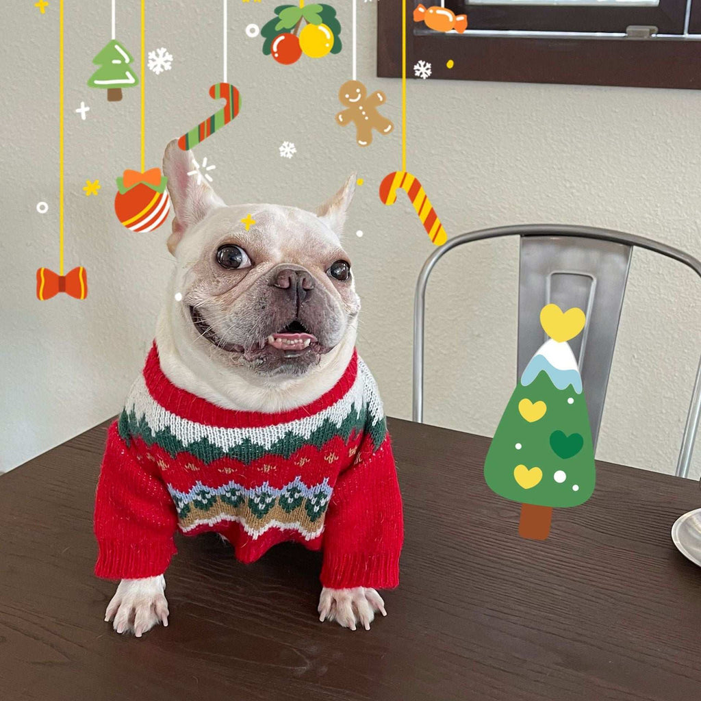 Red Dog Sweater with Christmas Embroidery and White Pom Pom
