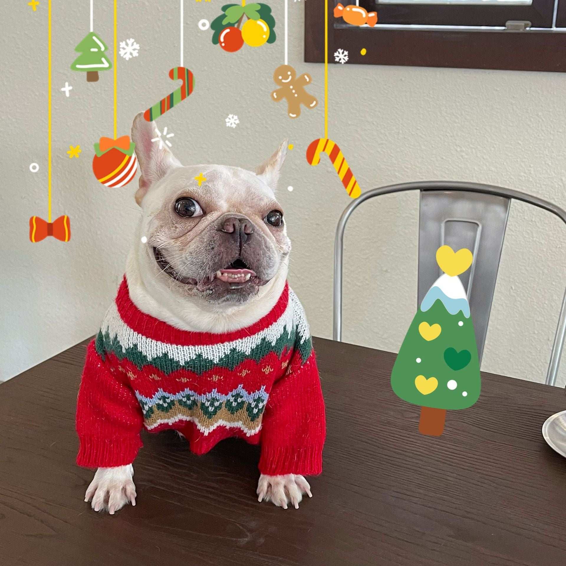 Red Dog Sweater with Christmas Embroidery and White Pom Pom