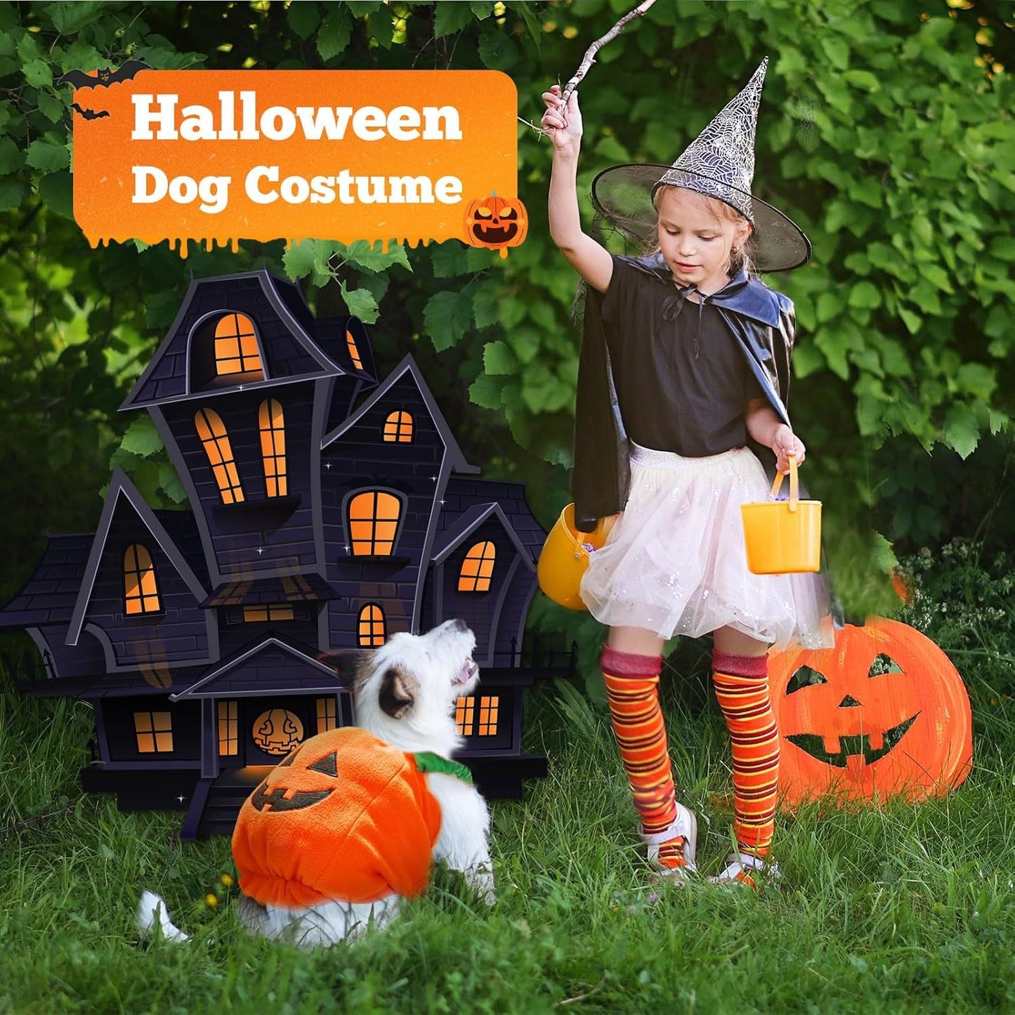 Costume da Zucca per Cani - Trasforma il Tuo Cagnolino nella Zucca più Adorabile di Halloween!