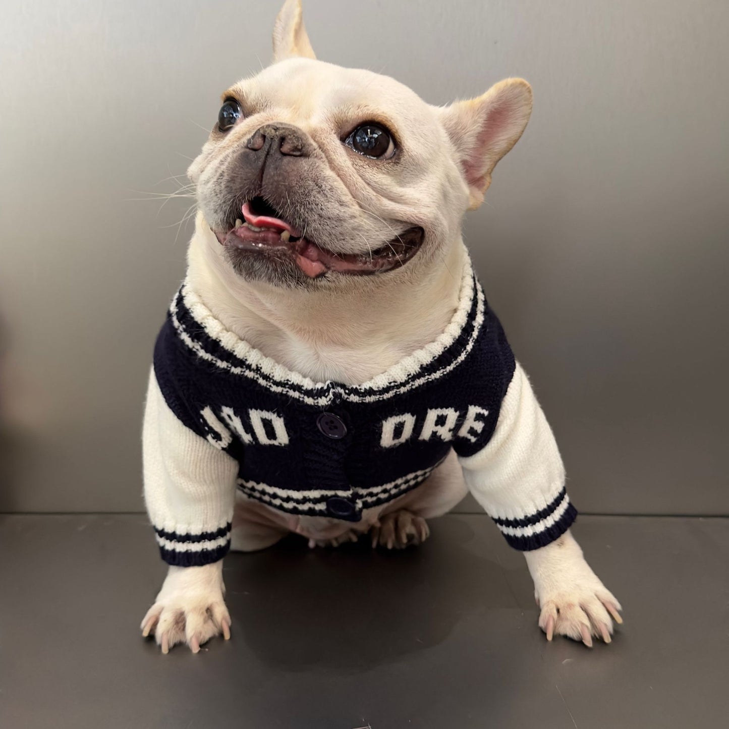 Cappotto per Bulldog "J'adore" – Stile e Comfort per il Tuo Amico a Quattro Zampe!