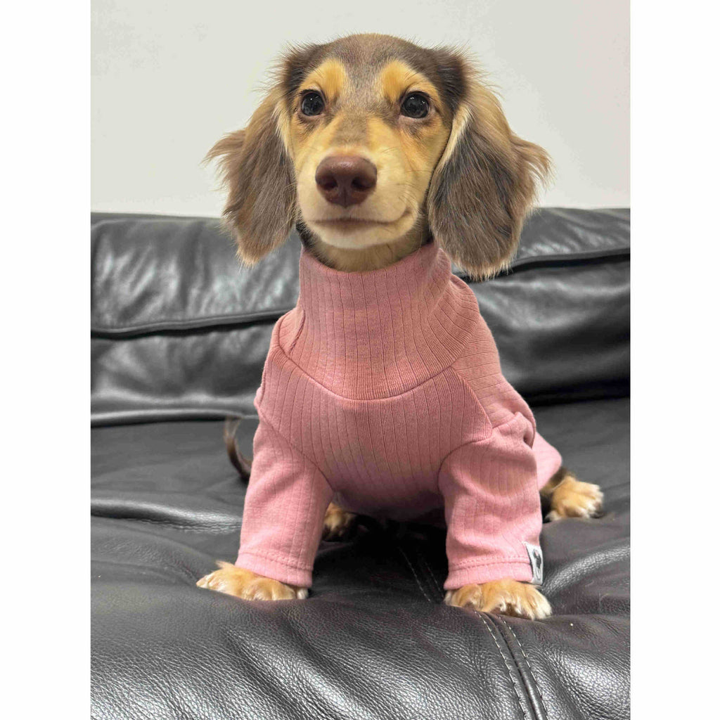 Jersey de Cuello Alto para Perros y Gatos - Algodón Suave Insta-Style