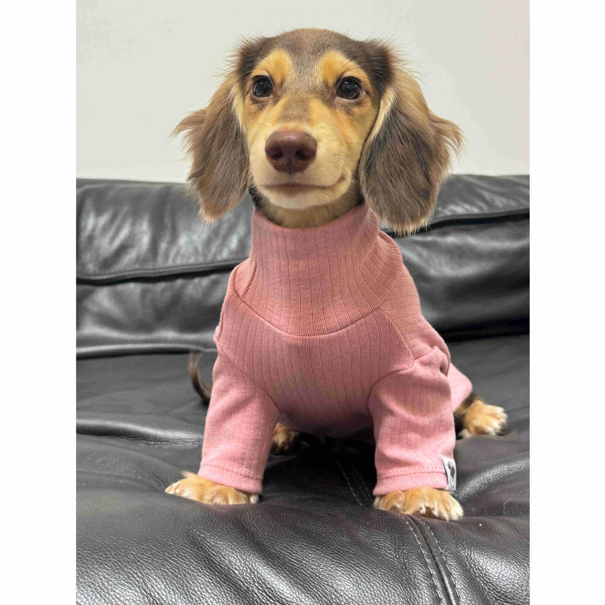 Maglia Collo Alto Cani Gatti - Cotone Morbido Insta-Style by Dog Moda