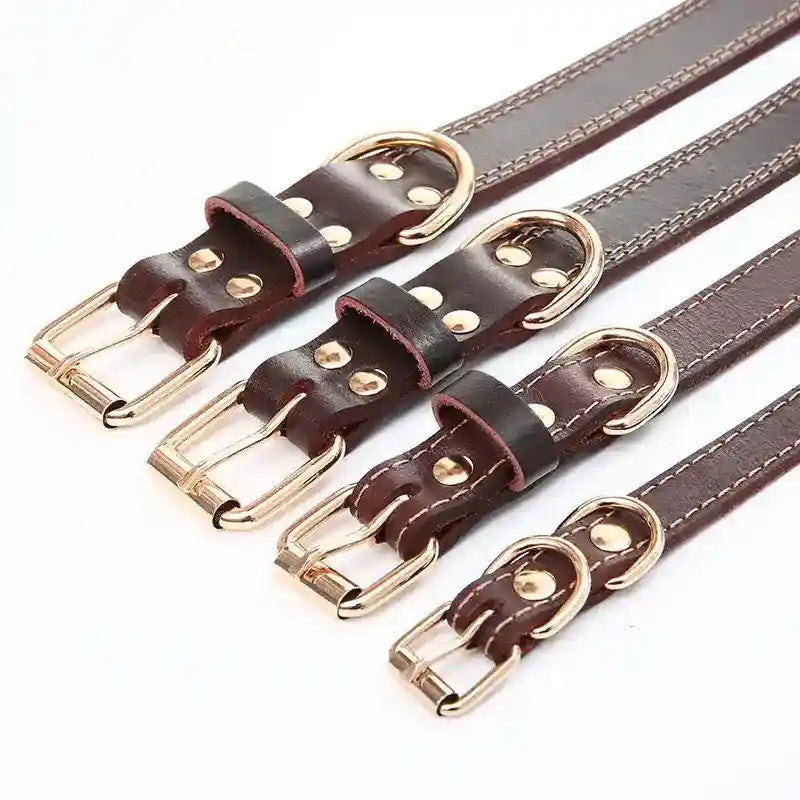 Collare Cani Pelle Marrone - Resistente e Regolabile by Dog Moda