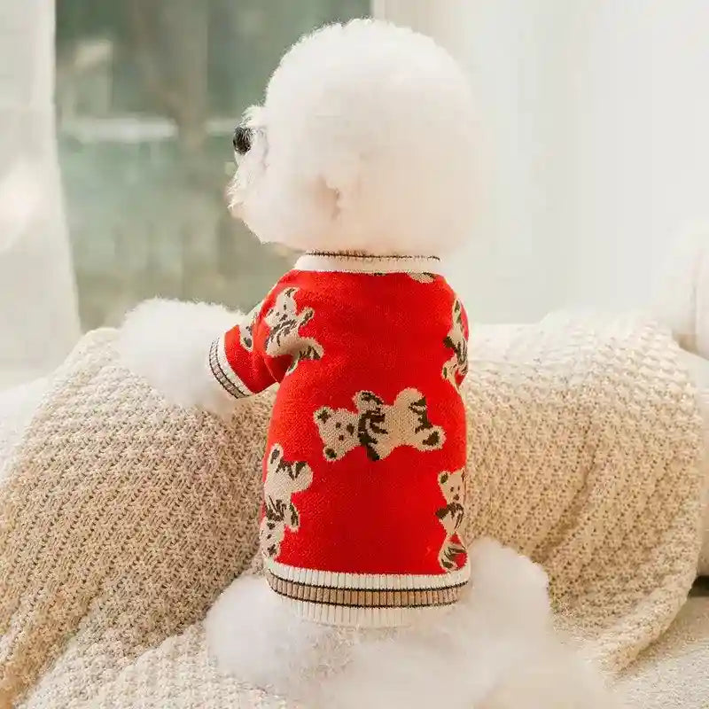 Maglione Cani Gatti Orsetto - Caldo Leggero Autunno by Dog Moda