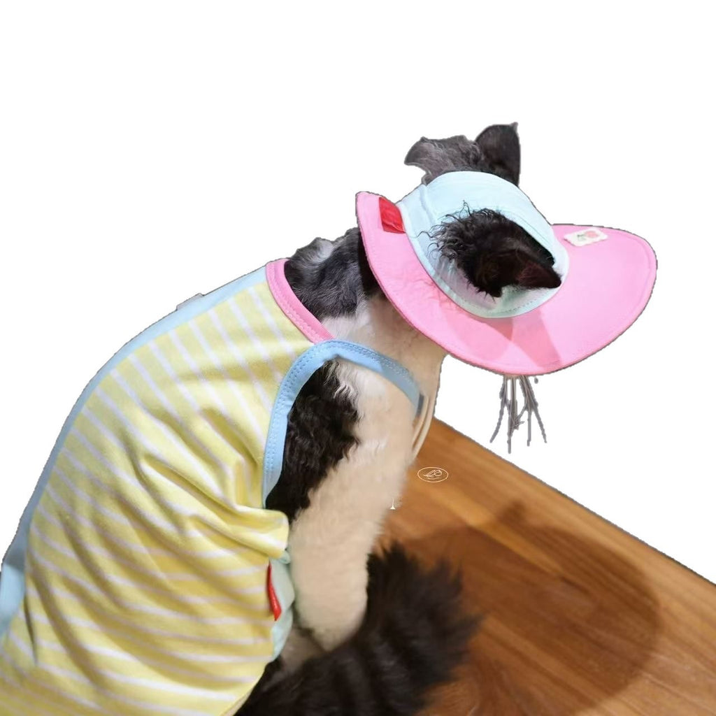 1fa1e331bea46d5582e27d00ab28170f