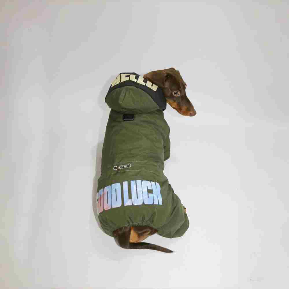 Impermeable para Teckel “Buena Suerte” – Caliente, Cómodo y Estiloso