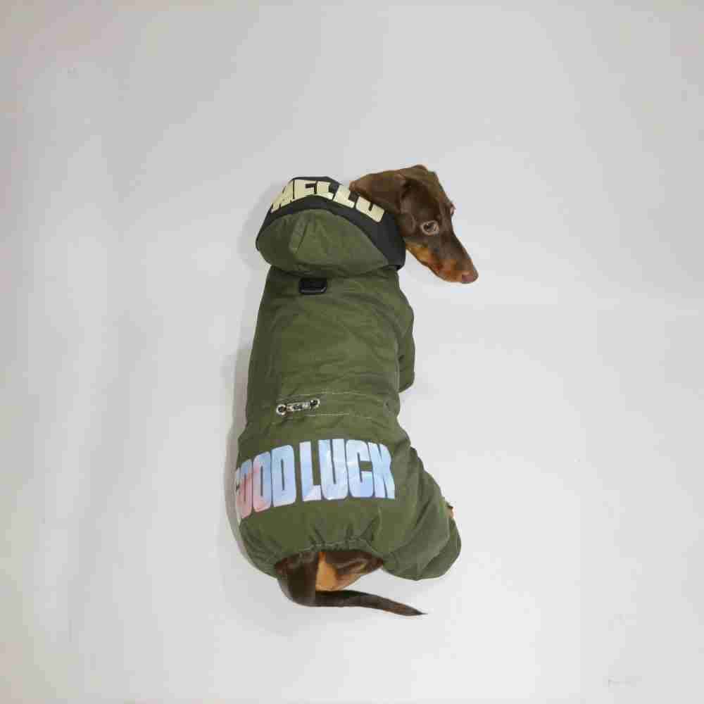 Impermeabile per Bassotto “Good Luck” – Caldo, Comodo e Stiloso by Dog Moda
