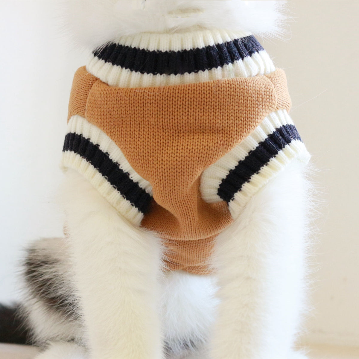 Maglioncino Smanicato per Gatti - Caldo e Comodo by Dog Moda
