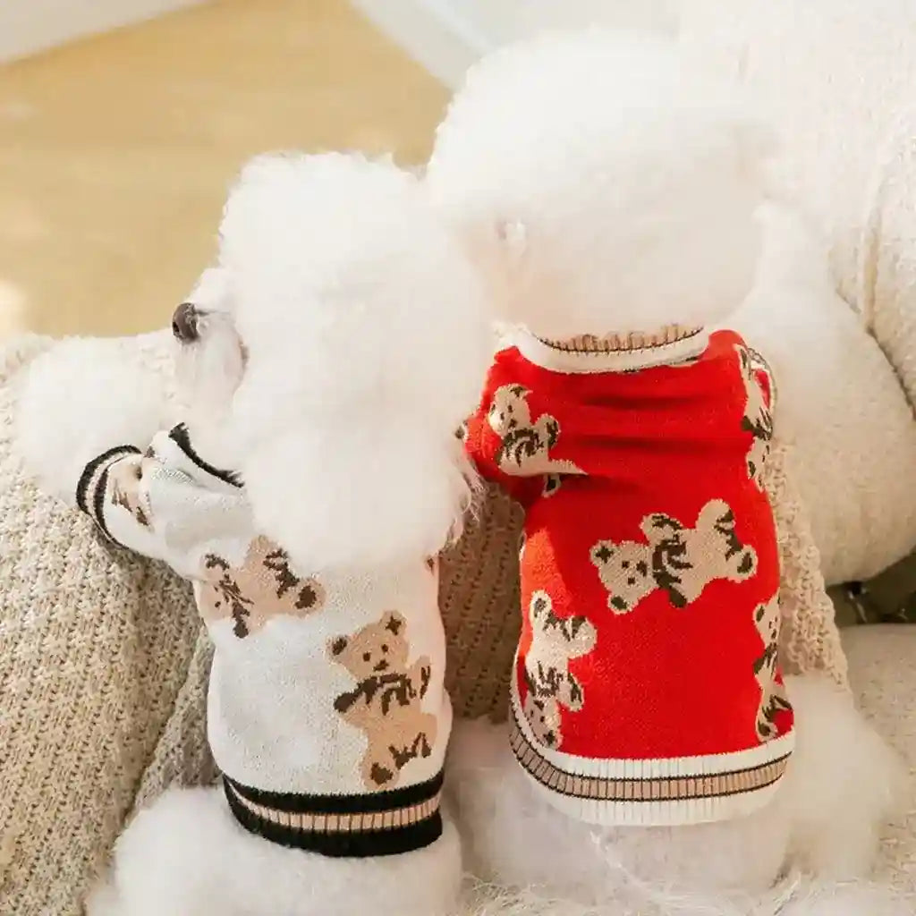 Maglione Cani Gatti Orsetto - Caldo Leggero Autunno by Dog Moda