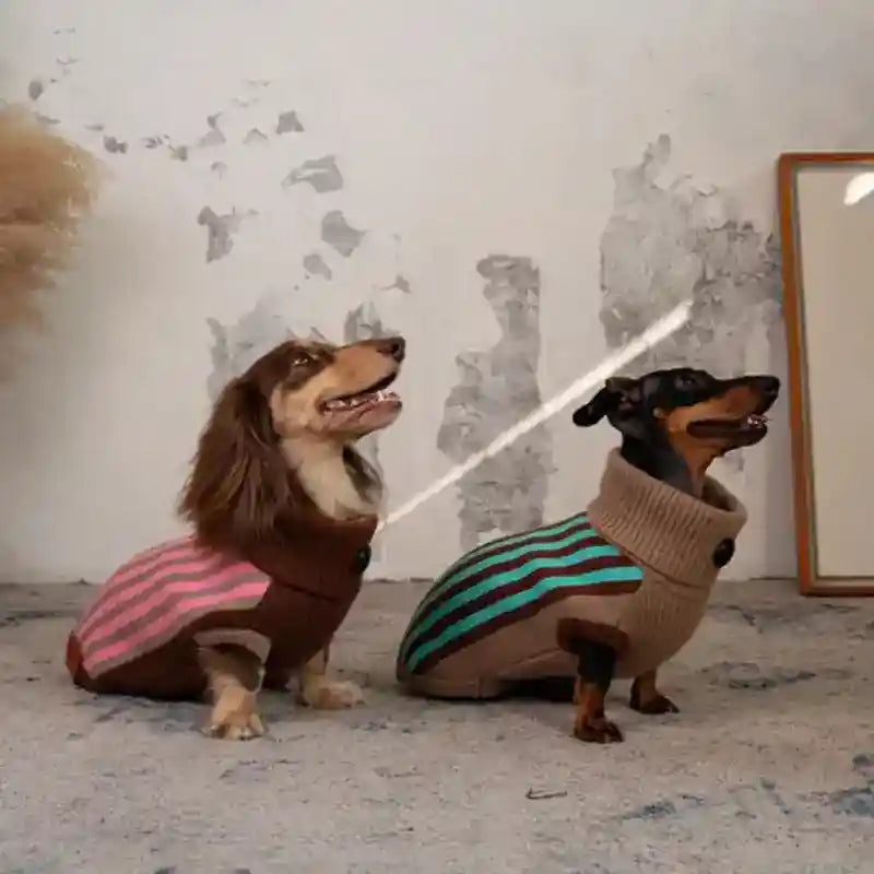 Maglione Cani Collo Alto Wiene Day - Caldo e Trendy by Dog Moda