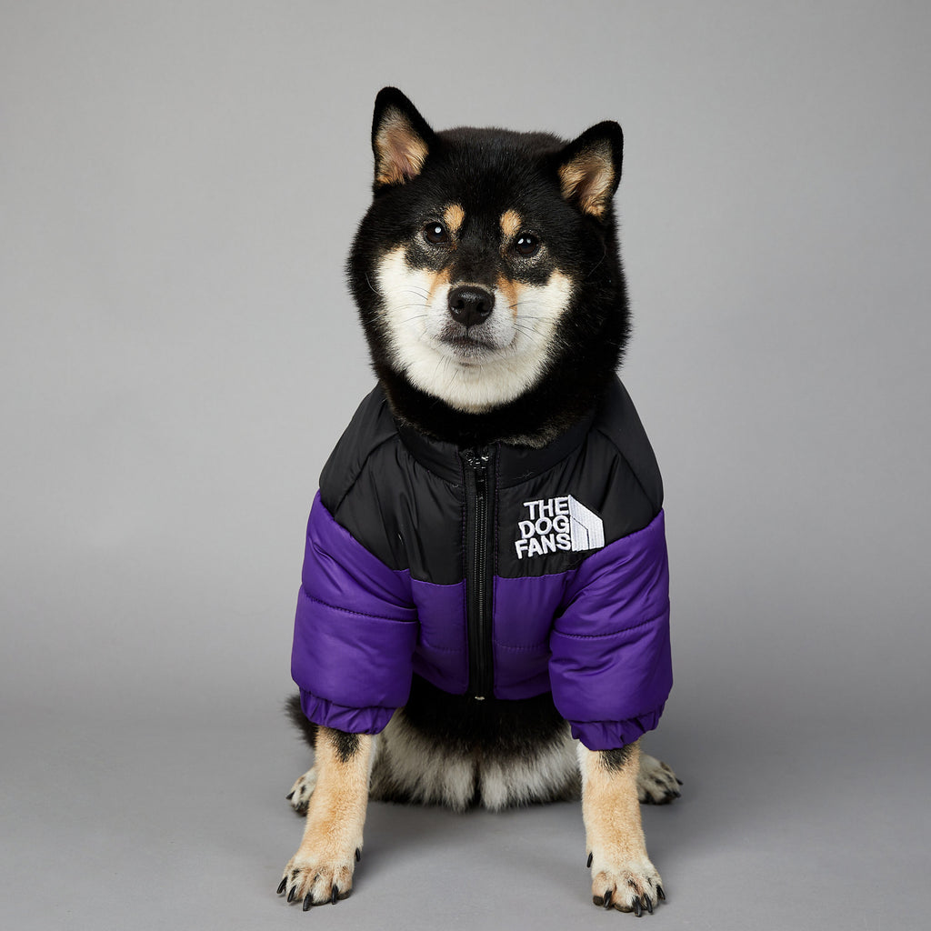 Giacca Invernale per Cani The Dog Fans - Impermeabile e Antivento